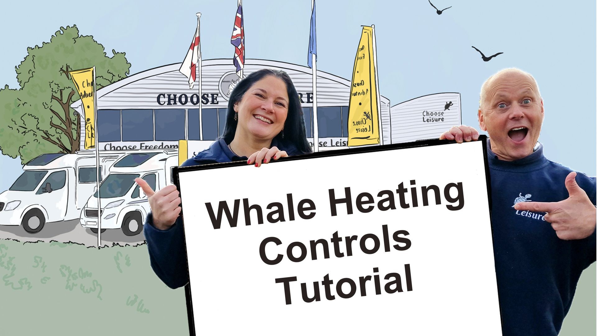 Whale Heating/Hot Water Controls Tutorial